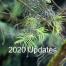 2020 Update