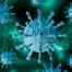 iStock-1201545442