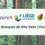 Header HVF email