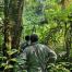 Photo_publication_NFSS of Ecuador_Natural forest in Ecuador