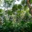 EU anti-Deforestation Regulation