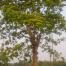 DSC0122.jpg