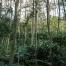 FSC_newsentry_1548153079_image.jpg