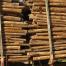 Brazil wood