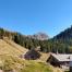 Alpine Forest_Multifunctional role of the forest_(C)FSC Italy