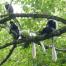 P9400487-Black-and-white-Colobus-guereza-guereza-monkey
