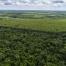 RT_180404_0007_Photo_FSS_Brazil_Plantations