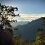 Indonesia forest