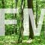 Forest_Management.jpg