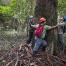 WE CERTIFY FORESTS BIG AND SMALL 2014_ICCOMMS_PERU_PEO_smallholder_(c)FSC GD_Christian Irrgang_0039.jpg